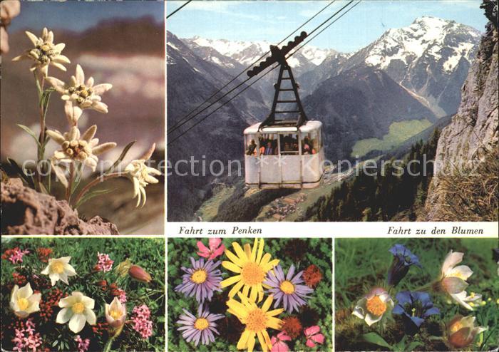 Seilbahn Penkenbahn Zillertaler Hauptkamm Blumen
