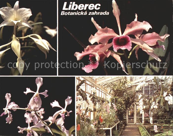 Blumen Liberec Botanicka zahrada