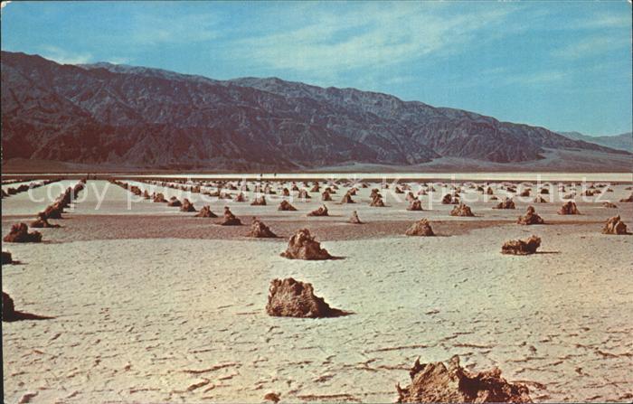 Death Valley Borax Gardens Death Valley National Monument