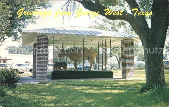 George West Big Steer