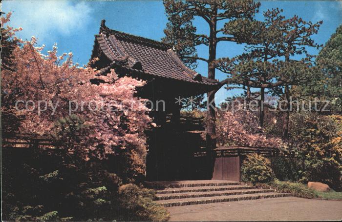 San Francisco California Oriental Tea Garden