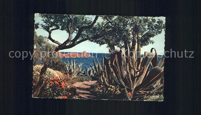 Cannes Alpes-Maritimes