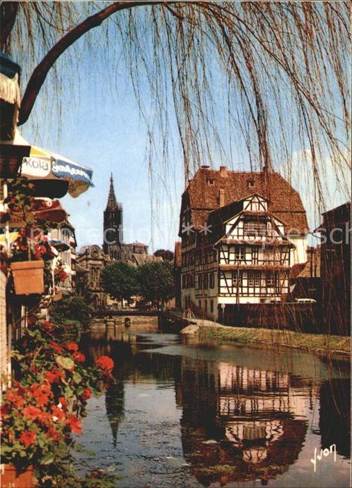 Strasbourg Alsace Muenster Weiher