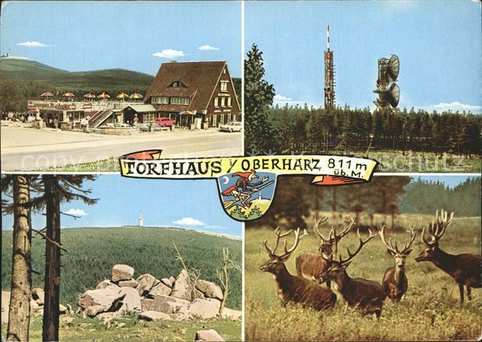 Torfhaus Harz Sporthotel Brockenblick Hirsch