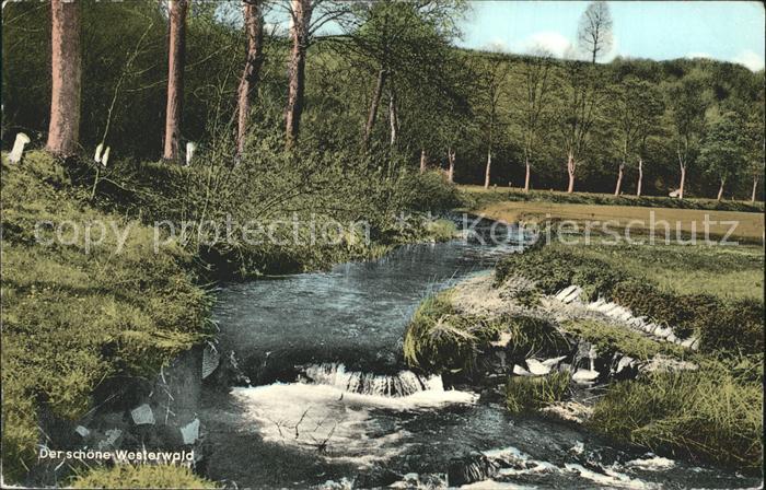 Westerwald Region Partie am Bach
