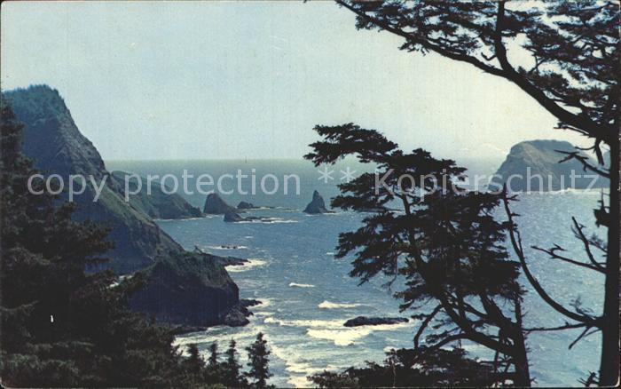 Oregon City Coast near Cape Mears