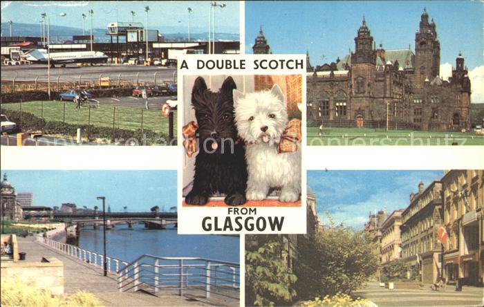 Glasgow A Double scotsch Hunde schwarz und weiss