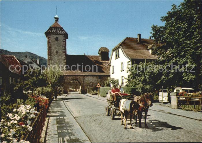 Zell Harmersbach Pony-Gespann am Storchenturm