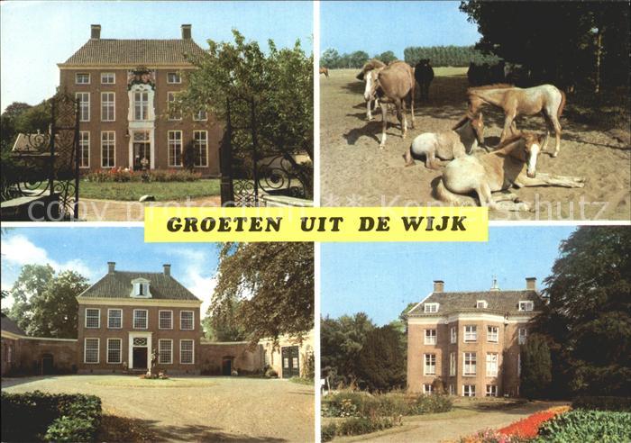 Wijk aan Zee Ville und Pferd
