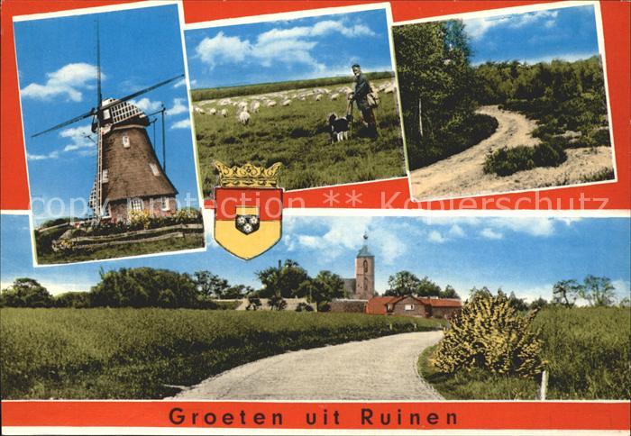 Ruinen Muehle Schafe