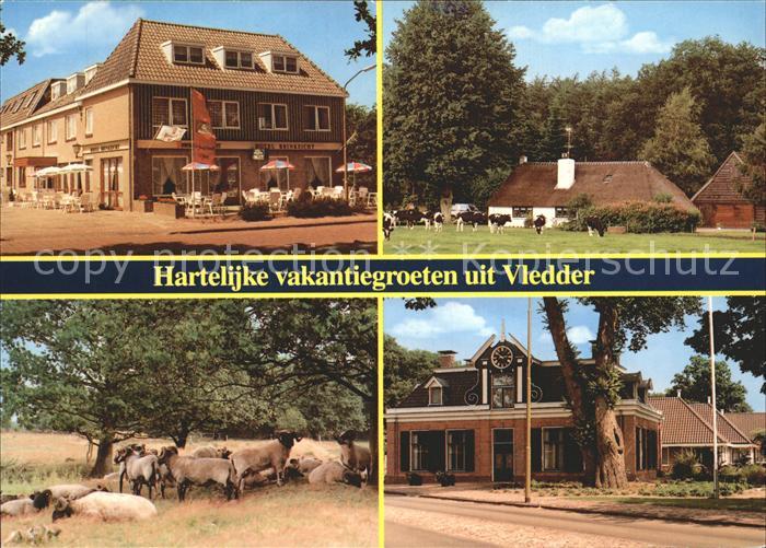 Vledder mit Schafherde