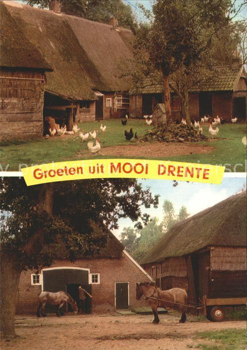 Drente Bauernhof mit Pferdewagen