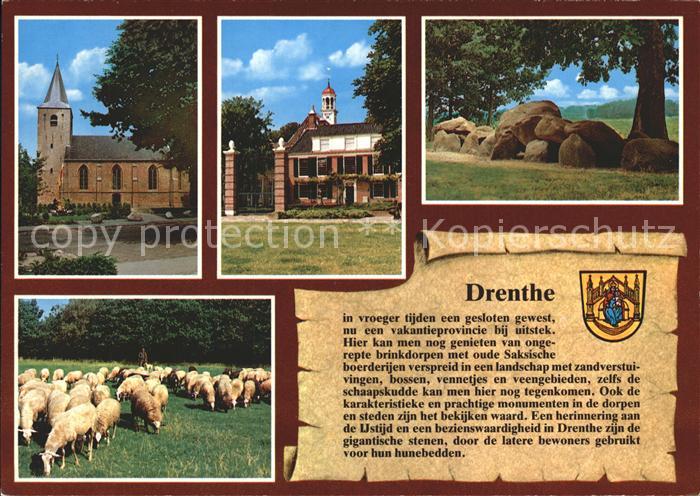 Drenthe Kirche Schafe