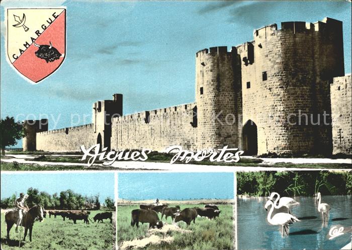 Aigues-Mortes Gard Les Remparts Monade de Toureaux Flamani