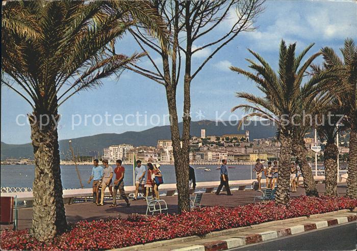 Cannes Alpes-Maritimes La Croisette