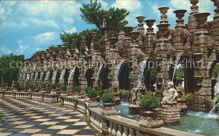 Clearwater Florida The Kapok Tree