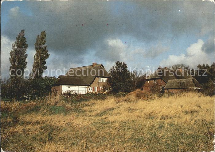 Ahrenshoop Ostseebad Haeuser am Paetowweg