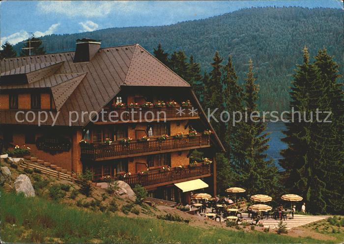 Hinterzarten Breisgau-Hochschwarzwald BW Hotel Restaurant Alemannenhof am Titise