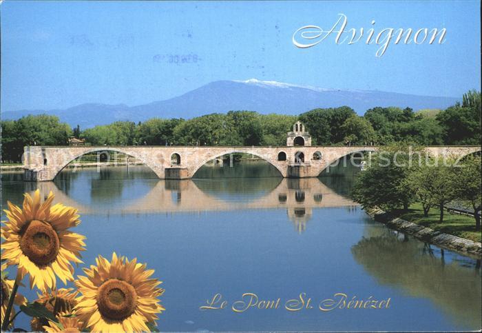 Avignon Vaucluse Pont St. Benezel