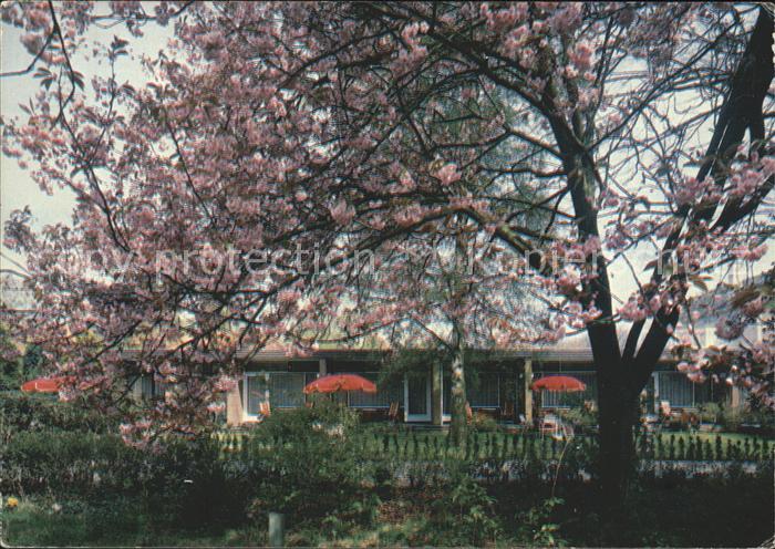 Oosterbeek Hotel Strijland