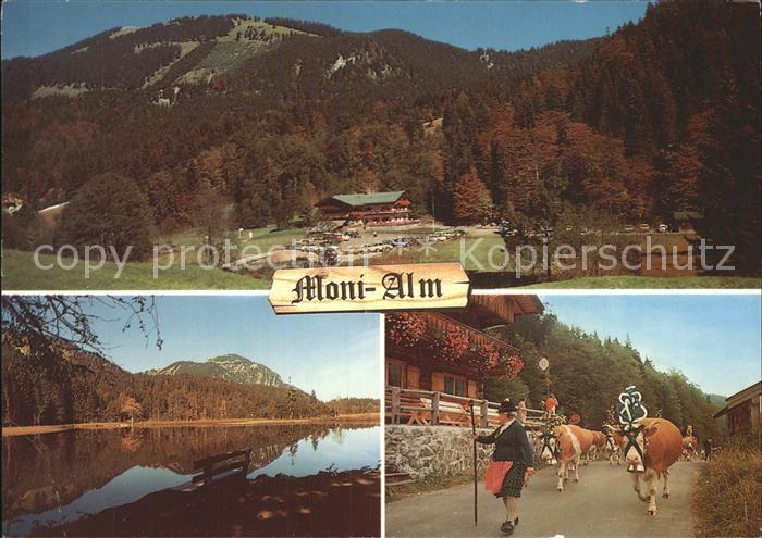 Rottach-Egern Moni- Alm