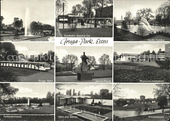 Essen Ruhr Gruga- Park Pflanzenschutzhaeuser Gruga- BahnKranichwiese