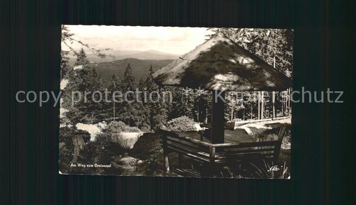 Haidmuehle Am Weh zum Dreisessel
