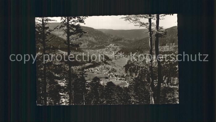 Bad Herrenalb Blick ins Gaistal