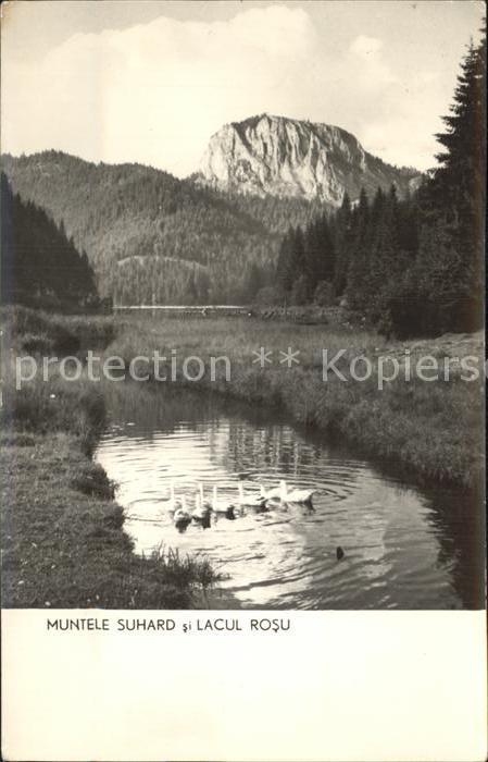 Rumaenien Muntele Suhard Lacul Rosu