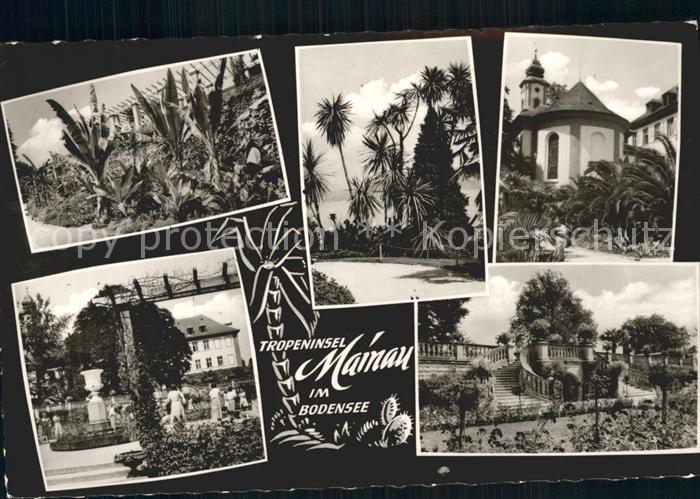 Mainau Pflanzenparadies