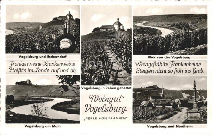 Vogelsburg Volkach Weingut Reben Nordheim