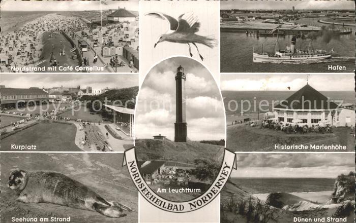 Norderney Nordseebad Hafen Seehund Historische Marienhoehe