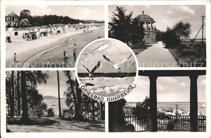 Scharbeutz Ostseebad Strand Moewe