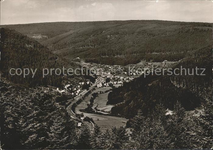 Wildbad Schwarzwald Blick vom Sommerberg ins Enztal