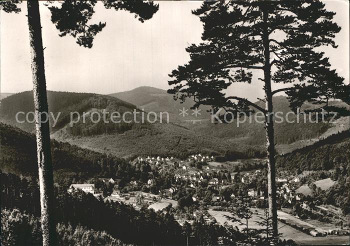 Bad Herrenalb Gesamtansicht