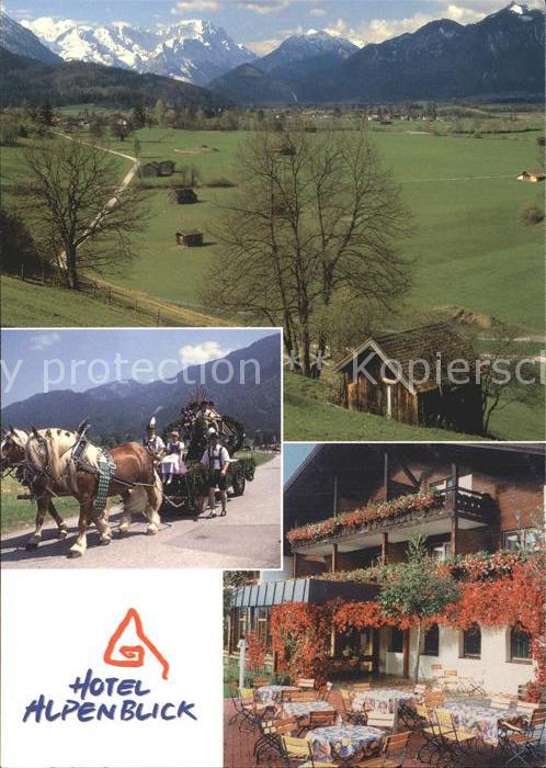 Ohlstadt Hotel Alpenblick Kutsche Panorama