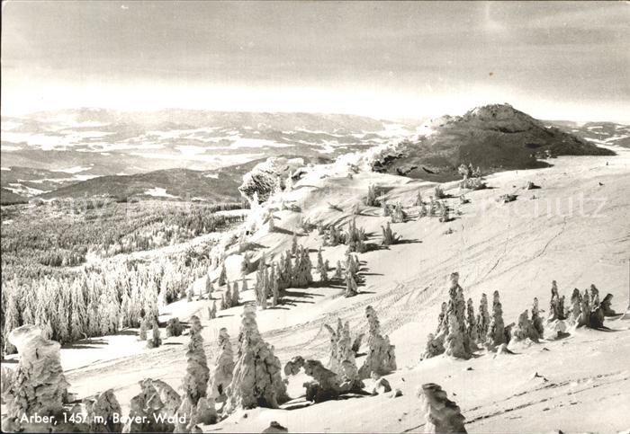 Arber Richard Wagner- Kopf