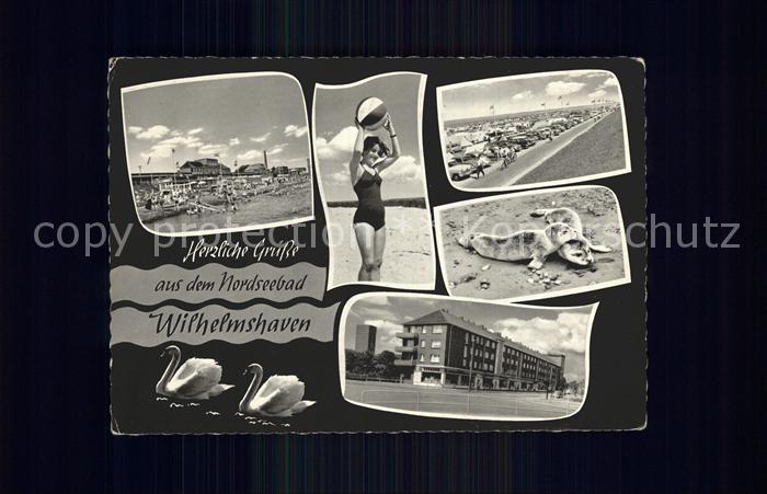 Wilhelmshaven  CITY Strand Seehund