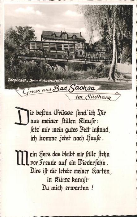 Bad Sachsa Harz Berghotel Zum Katzenstein