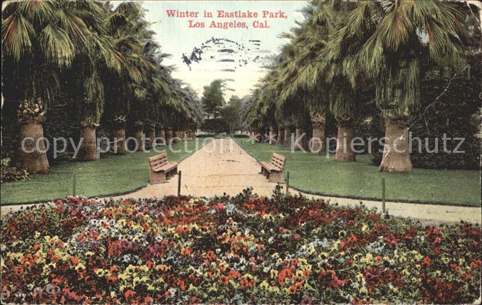 Los Angeles California Winter in Eastlake Park