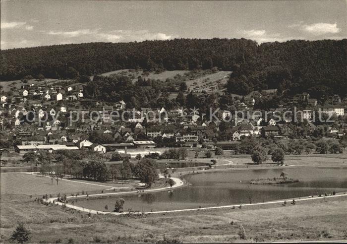 Bad Koenig Odenwald Panorama See Kupfertiefdruck