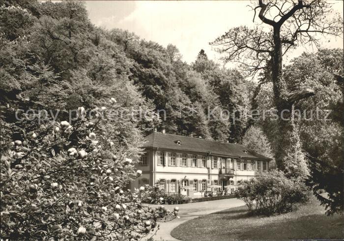 Auerbach Bergstrasse Fuerstenlager Luftkurort
