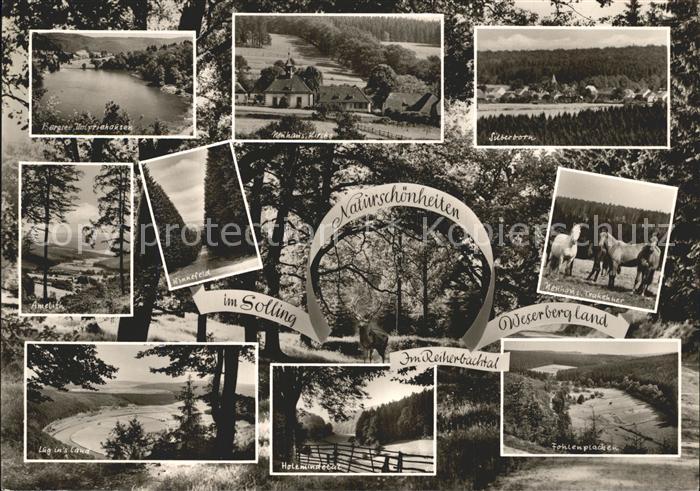 Silberborn Naturschoenheiten im Solling Reiherbachtal Weserbergland