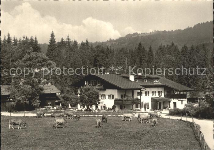 Elmau Gaestehaus Alpengut mit Kuehen