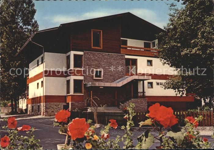 Berg Drautal Waldpension Putz