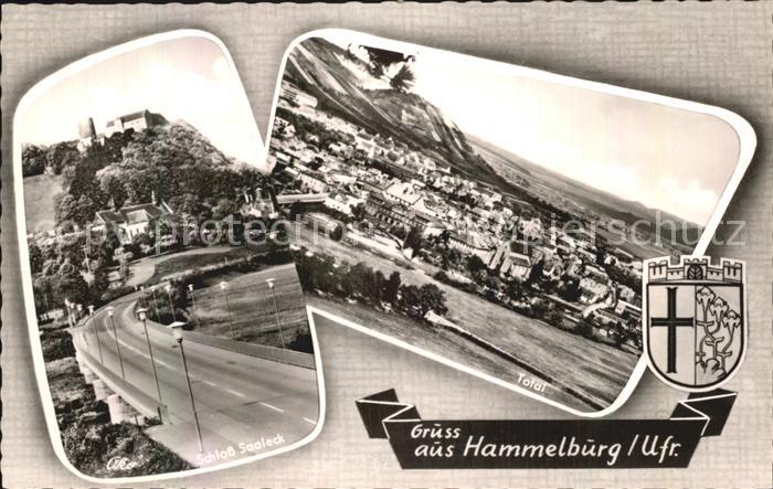 Hammelburg Schloss Saaleck Totalansicht