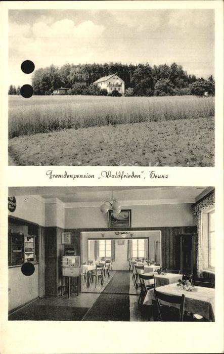 Teunz Fremdenpension Waldfrieden Gastraum