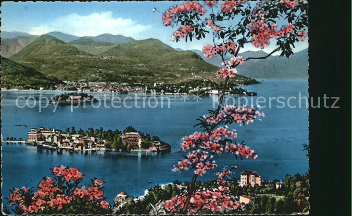 Lago Maggiore Le isole e Pallanza