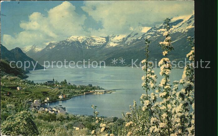Norge Norwegen Sorfjorden Hardanger Ullensvang mot Folgefonnen