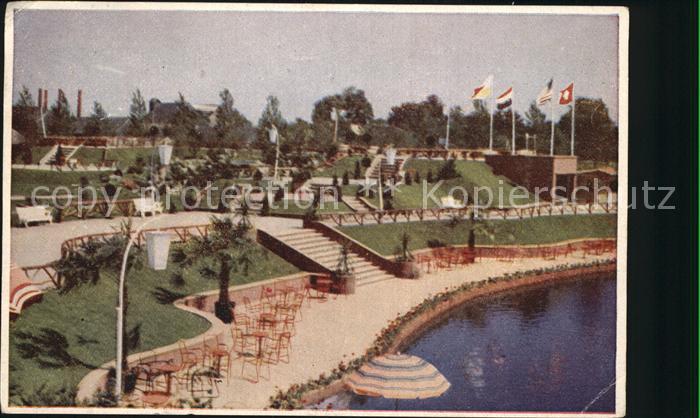 Alphen Aan Den Rijn Avifauna Overzicht